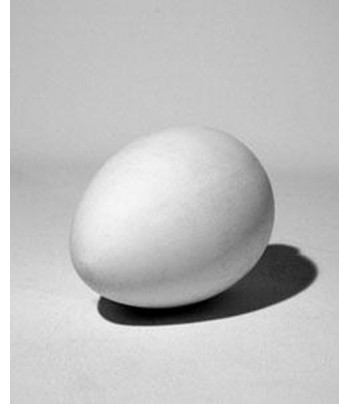 Геометрическое тело (гипс) Яйцо d121x170мм