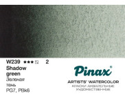 *Акварельная кювета "Extra" Pinax 2,5мл W239 ЗЕЛЕНАЯ ТЕНЬ *Акварельная кювета "Extra" Pinax 2,5мл W239 ЗЕЛЕНАЯ ТЕНЬ