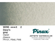 *Акварельная кювета "Extra" Pinax 2,5мл W295 СЕРАЯ ДЕВИСА *Акварельная кювета "Extra" Pinax 2,5мл W295 СЕРАЯ ДЕВИСА