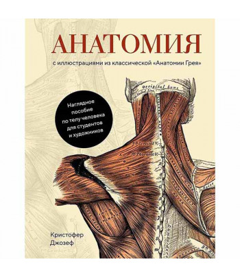 Анатомия (с иллюстрациями из классической «Анатомии Грея»). Джозеф К.
