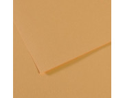 RR Бумага для пастели "MI-TEINTES®" Canson 160г 50х65см КОНОПЛЯННЫЙ(340) RR Бумага для пастели "MI-TEINTES®" Canson 160г 50х65см КОНОПЛЯННЫЙ(340)