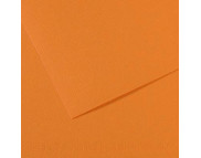 RR Бумага для пастели "MI-TEINTES®" Canson 160г 50х65см БУЙВОЛОВАЯ КОЖА(384) RR Бумага для пастели "MI-TEINTES®" Canson 160г 50х65см БУЙВОЛОВАЯ КОЖА(384)