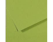 RR Бумага для пастели "MI-TEINTES®" Canson 160г 50х65см ЗЕЛЕНОЕ ЯБЛОКО(475) RR Бумага для пастели "MI-TEINTES®" Canson 160г 50х65см ЗЕЛЕНОЕ ЯБЛОКО(475)