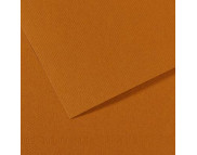 RR Бумага для пастели "MI-TEINTES®" Canson 160г 50х65см КОРИЧНЕВЫЙ СВЕТЛЫЙ(502) RR Бумага для пастели "MI-TEINTES®" Canson 160г 50х65см КОРИЧНЕВЫЙ СВЕТЛЫЙ(502)