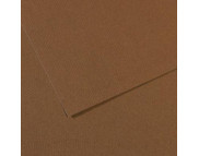 RR Бумага для пастели "MI-TEINTES®" Canson 160г 50х65см СЕПИЯ(133) RR Бумага для пастели "MI-TEINTES®" Canson 160г 50х65см СЕПИЯ(133)