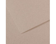 RR Бумага для пастели "MI-TEINTES®" Canson 160г 50х65см СЕРЫЙ СВЕТЛЫЙ(426) RR Бумага для пастели "MI-TEINTES®" Canson 160г 50х65см СЕРЫЙ СВЕТЛЫЙ(426)