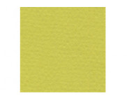 RR Бумага для пастели "Lana Colours" 160г 50х65см ФИСТАШКОВЫЙ RR Бумага для пастели "Lana Colours" 160г 50х65см ФИСТАШКОВЫЙ