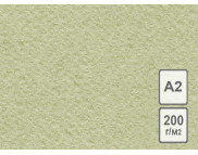 RR Бумага для АКВАРЕЛИ / ПАСТЕЛИ  200г рисовальная целлюлоза ЛЛХ 42х59,4 А2 ОЛИВКОВАЯ