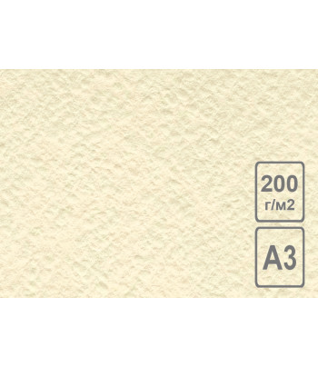 RR Бумага для АКВАРЕЛИ / ПАСТЕЛИ  200г рисовальная 100% цел.ЛЛХ А3 СЛОНОВАЯ КОСТЬ