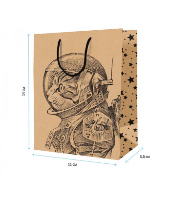 Пакет подарочный бумажн."Space Cat"ArtSpace КРАФТ 110х140х65мм