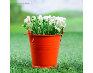 Ведерко металлическое окрашенное "Томми" 6х6см КРАСНОЕ